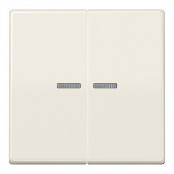 Клавиша для KNX кнопки, 2 группы с окошком; дюропласт; слоновая кость